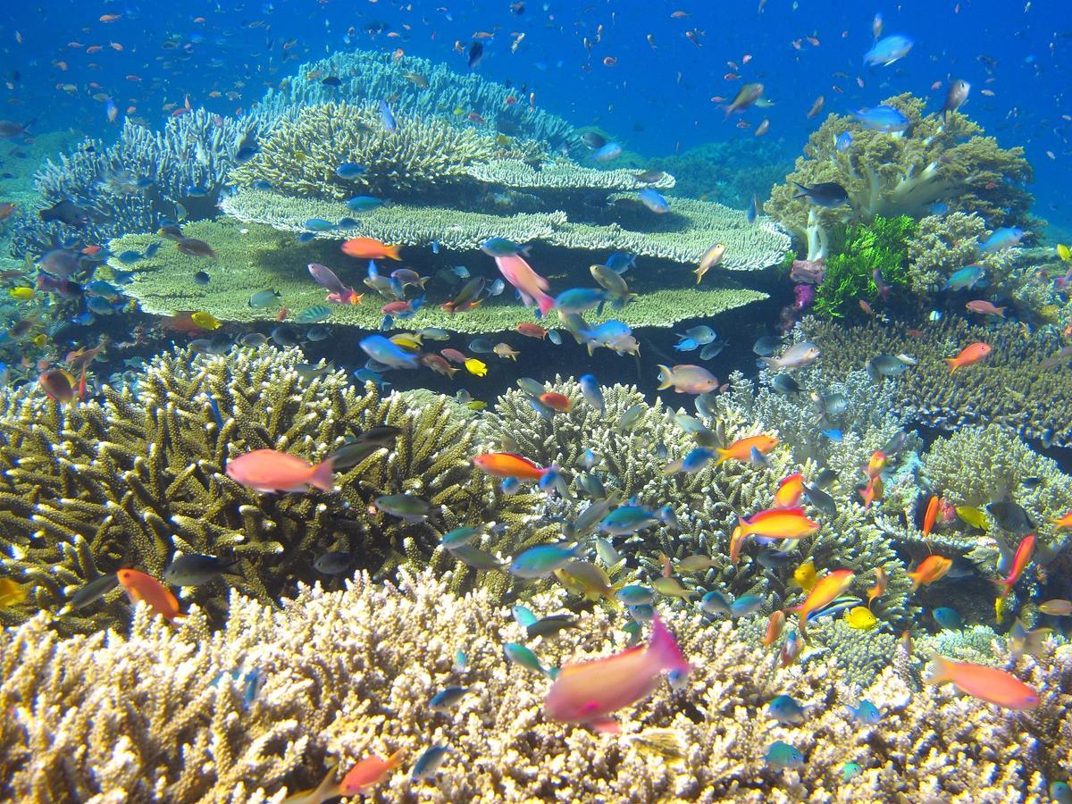 Cabilao Sunset Dive & Beach Resort Loon Zewnętrze zdjęcie